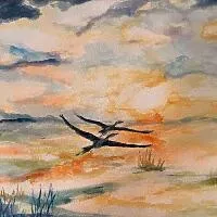 Opinia klienta Barbara Puto o Vizitka.com<sup>®</sup>